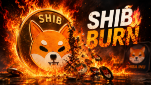 SHIB 소각률 급증이 가격 상승을 보장하지 않는 이유: 공급량과 소각 구조 분석 5 SHIB 토큰 소각률 급증을 상징하는 불타는 시바이누 코인 이미지